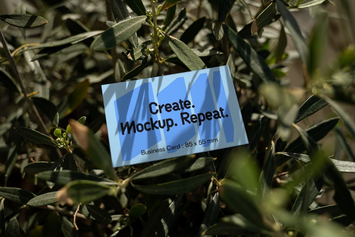 Mockup gratuit de carte de visite dans un olivier